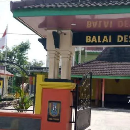 Aset Negara Dijual Diam-Diam? Sapi Bantuan Kemendes Widang Lenyap Tanpa Dokumen, LIN Murka