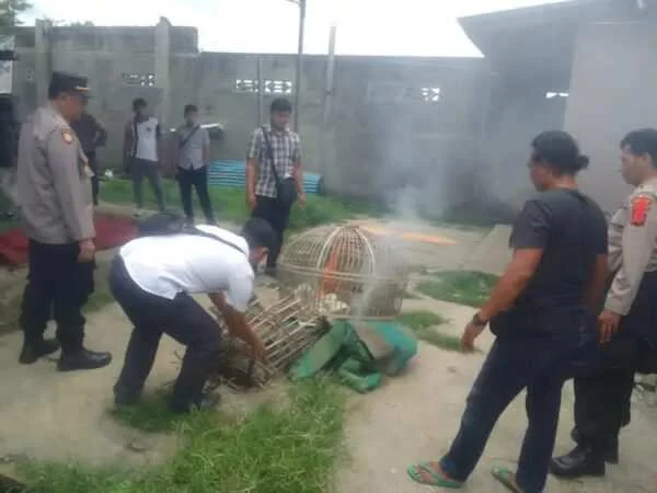 Polres Blitar Kota Tertibkan Arena Judi Sabung Ayam di Desa Jatilengger