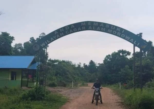 Penindakan Tak Merata, BKSDA Morowali Utara Didesak Transparan