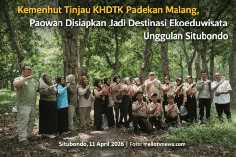 Kemenhut Tinjau KHDTK Padekan Malang, Paowan Disiapkan Jadi Destinasi Ekoeduwisata Unggulan Situbondo