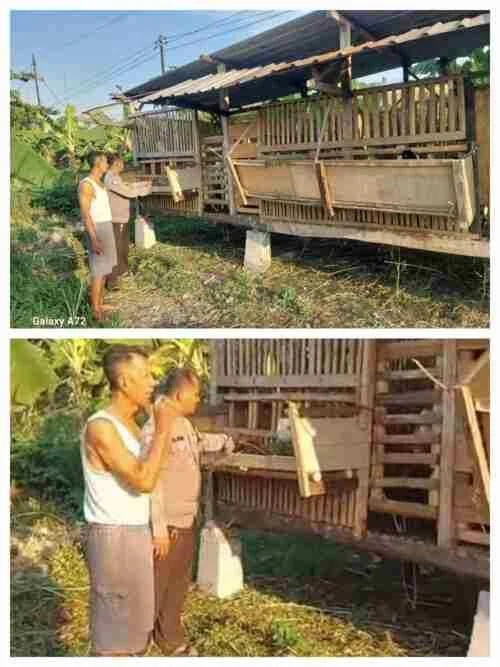 Bhabinkamtibmas Bangil Pantau Budidaya Ternak Kambing di Latek, Dukung Program P2B Asta Cita