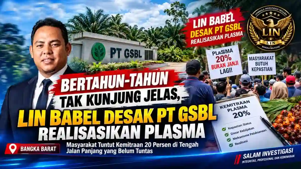 Bertahun-tahun Tak Kunjung Jelas, LIN Babel Desak PT GSBL Beri Kepastian Soal Plasma 20 Persen