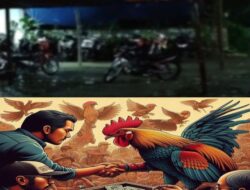 Trenggalek Dalam Cengkeraman Judi: Sabung Ayam Berjalan Bebas, Polisi Ke Mana?