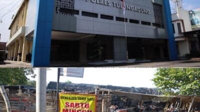 Hukum Dipermainkan: Sabung Ayam Ilegal di Boyolangu Terus Berkembang Tanpa Tindakan