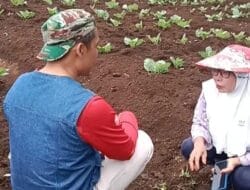 Surat Terakhir Widodo (Petruk) kepada Presiden: ‘Tegakkan Keadilan untuk Suarni Sapikerep Probolinggo’