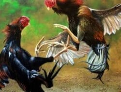 Rejotangan Krisis Hukum: Polisi Menonton, Judi Berjaya