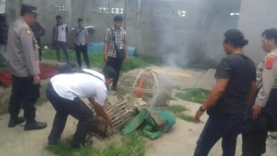 Polres Blitar Kota Tertibkan Arena Judi Sabung Ayam di Desa Jatilengger