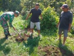 Jaga Kelestarian Lingkungan, Babinsa Gogodeso Bersama Warga Tanam Pohon Keras