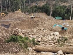 Mafia PETI Menghancurkan Kebun Raya Megawati: Hukum Kalah di Minahasa Tenggara?