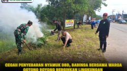 Cegah Penyebaran Nyamuk DBD, Babinsa Bersama Warga Gotong Royong Bersihkan Lingkungan