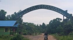 Penindakan Tak Merata, BKSDA Morowali Utara Didesak Transparan