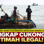 Pimpinan Pusat Lembaga Investigasi Negara (LIN) Desak Tipiter Mabes Polri Bongkar Jaringan Cukong Timah Ilegal di Bangka Belitung