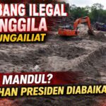Tambang Ilegal Menggila di Sungailiat, DPD LIN Babel: APH Mandul di Tengah Instruksi Tegas Presiden