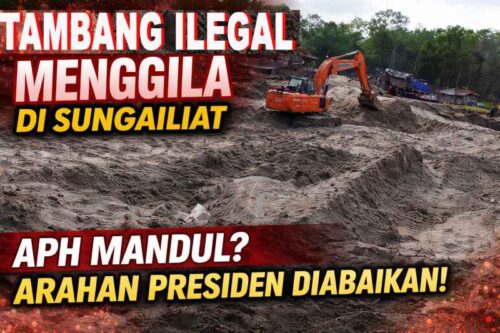 Tambang Ilegal Menggila di Sungailiat, DPD LIN Babel: APH Mandul di Tengah Instruksi Tegas Presiden