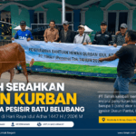 PT Timah Serahkan Hewan Kurban untuk Warga Pesisir Batu Belubang, Pererat Kebersamaan di Hari Raya