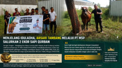 Menjelang Iduladha, Arsari Tambang Melalui PT MSP Salurkan 2 Ekor Sapi Kurban untuk Lembaga dan Insan Pers
