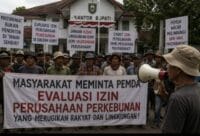 Pemda Jangan Tutup Mata,Segera Evaluasi Perizinan PT.FAL Yang Konflik Dengan Gapoktan