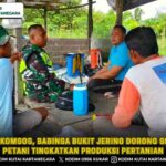 Melalui Komsos, Babinsa Bukit Jering Dorong Semangat Petani Tingkatkan Produksi Pertanian