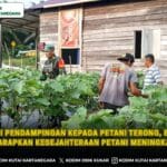 Melalui Pendampingan kepada Petani Terong, Babinsa Harapkan Kesejahteraan Petani Meningkat