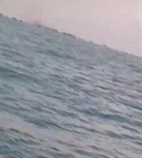 Menjadi Sorotan Publik Penambang Timah Ilegal Diperairan Kranggan Kembali Beroperasi Sekitar 50 Ponton di Malam Diduga Tambang Ini Sistem Koordinasi
