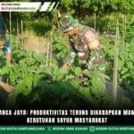 Babinsa Panca Jaya: Produktivitas Terong Diharapkan Mampu Penuhi Kebutuhan Sayur Masyarakat