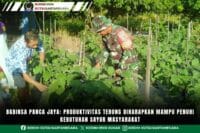 Babinsa Panca Jaya: Produktivitas Terong Diharapkan Mampu Penuhi Kebutuhan Sayur Masyarakat