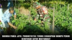 Babinsa Panca Jaya: Produktivitas Terong Diharapkan Mampu Penuhi Kebutuhan Sayur Masyarakat