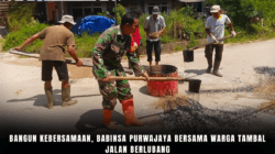 Bangun Kebersamaan, Babinsa Purwajaya Bersama Warga Tambal Jalan Berlubang