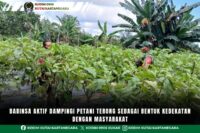 Babinsa Aktif Dampingi Petani Terong Sebagai Bentuk Kedekatan Dengan Masyarakat