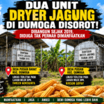 Dua Unit Dryer Jagung di Dumoga Disorot, Dibangun Sejak 2019 Diduga Mangkrak dan Tak Dimanfaatkan Petani