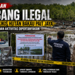 Dugaan Tambang Ilegal User-User Kikis Hutan Bakau Pait Jaya, Legalitas Lahan dan Aktivitas Dipertanyakan
