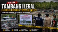 Dugaan Tambang Ilegal User-User Kikis Hutan Bakau Pait Jaya, Legalitas Lahan dan Aktivitas Dipertanyakan