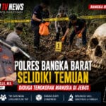 Polres Bangka Barat Selidiki Temuan Diduga Tengkorak Manusia di Jebus, Warga Diimbau Tidak Berspekulasi