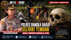 Polres Bangka Barat Selidiki Temuan Diduga Tengkorak Manusia di Jebus, Warga Diimbau Tidak Berspekulasi