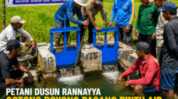 Inisiatif Mandiri, Petani Dusun Rannayya Swadaya Bangun Pintu Air demi Kelancaran Irigasi Sawah