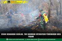 Cegah Kebakaran Susulan, Tim Gabungan Intensifkan Pendinginan Area Padam