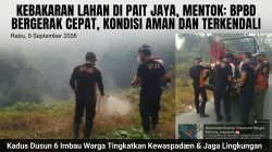 Kebakaran Terjadi di kampung pait jaya, BPBD Bangka Barat Bergerak Cepat padamkan Api.