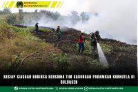Kesiap Siagaan Babinsa Bersama Tim Gabungan Padamkan Karhutla Di Buluqsen