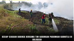 Kesiap Siagaan Babinsa Bersama Tim Gabungan Padamkan Karhutla Di Buluqsen