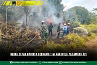 Gerak Cepat Babinsa Bersama Tim Karhutla Padamkan Api