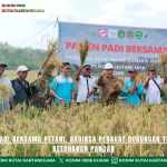 Panen Padi Bersama Petani, Babinsa Perkuat Dukungan Terhadap Ketahanan Pangan