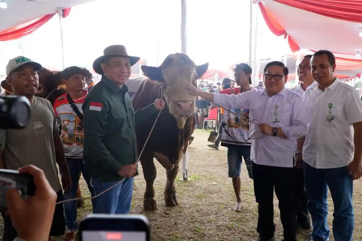 Kementan Dorong Penguatan Genetik Sapi untuk Meningkatkan Produktivitas Peternak
