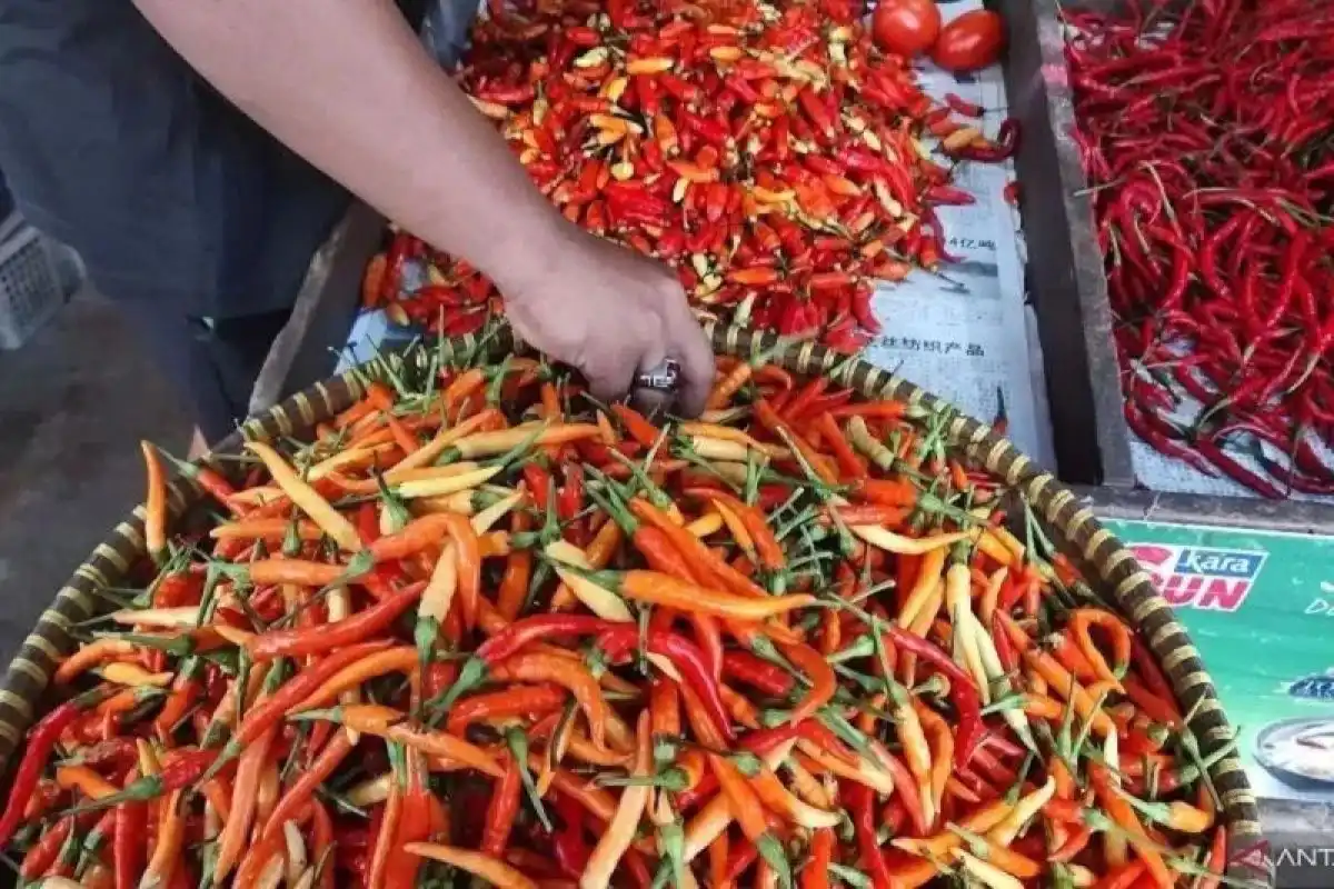 Harga Pangan Nasional Terkini: Cabai Rawit Merah Rp114.000 per Kilogram
