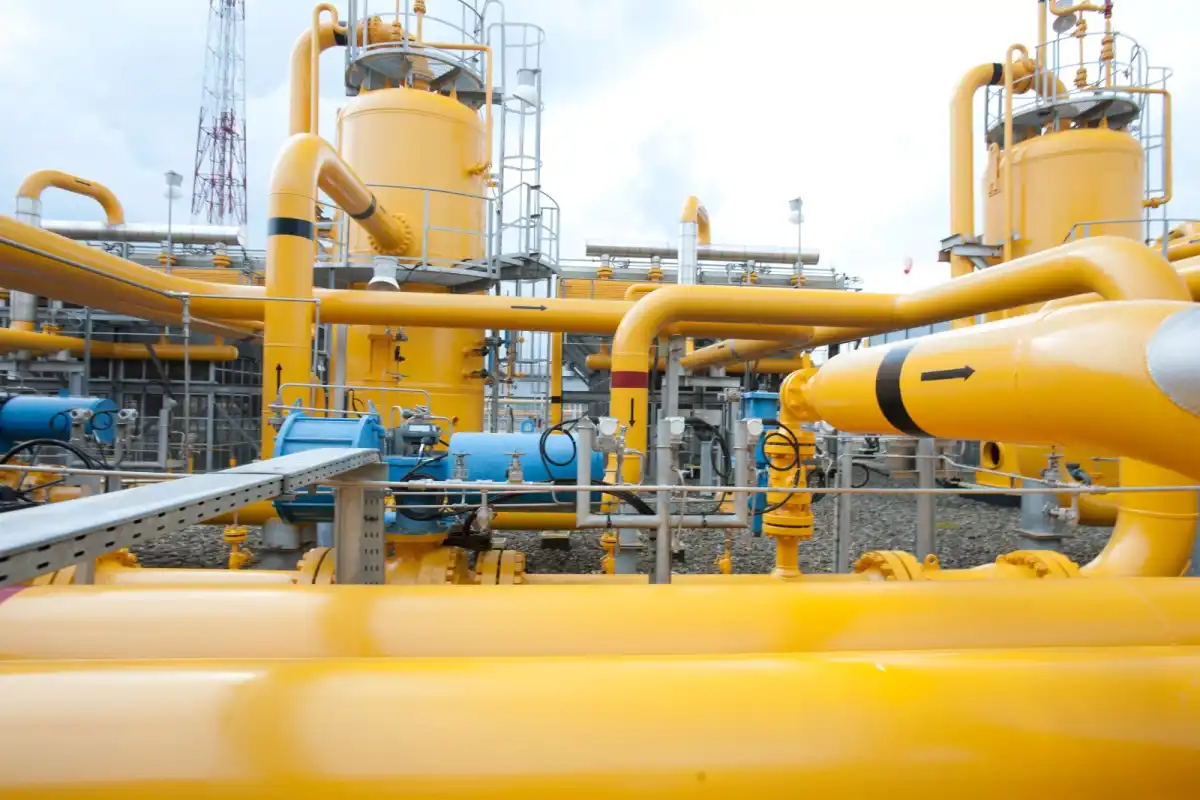 PGN Siapkan Integrasi Biomethane Limbah Sawit ke Jaringan Gas Nasional
