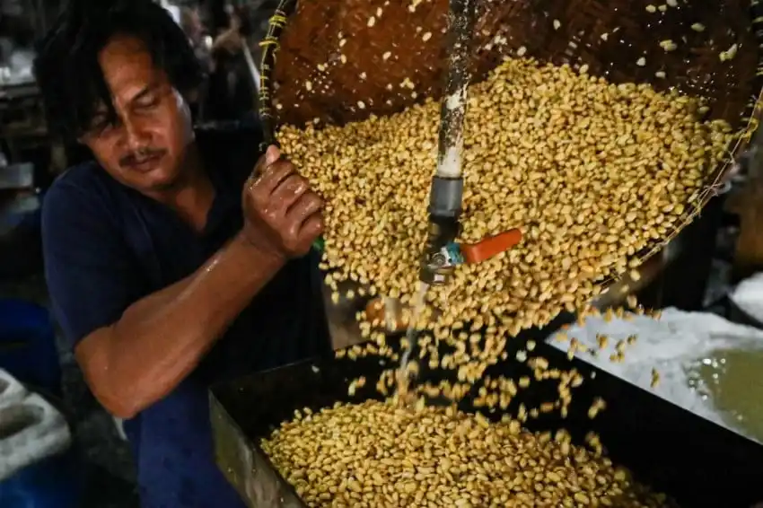 Kenaikan Harga Kedelai Impor Dorong Pemerintah Siapkan Opsi Subsidi