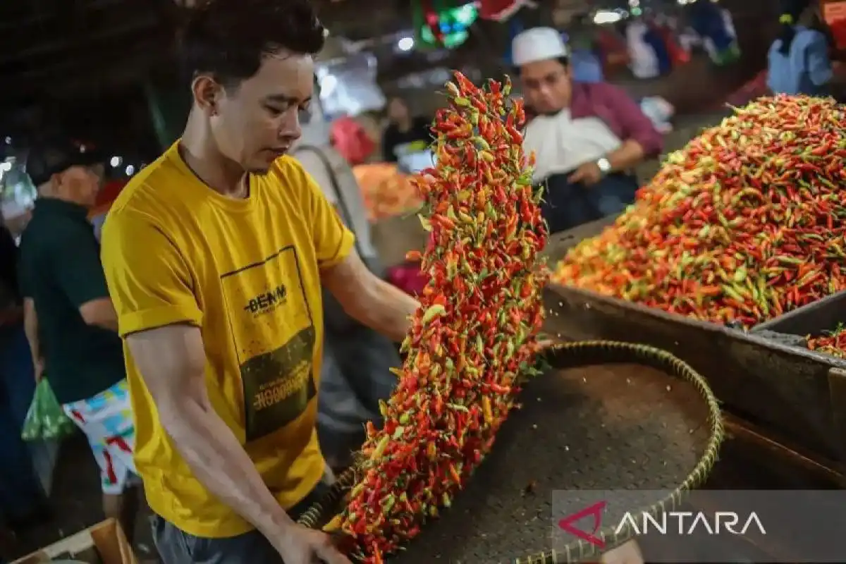 PIHPS Memperbarui Catatan Harga Pangan Nasional, Cabai Rawit Merah Tembus Rp98.600 per Kilogram