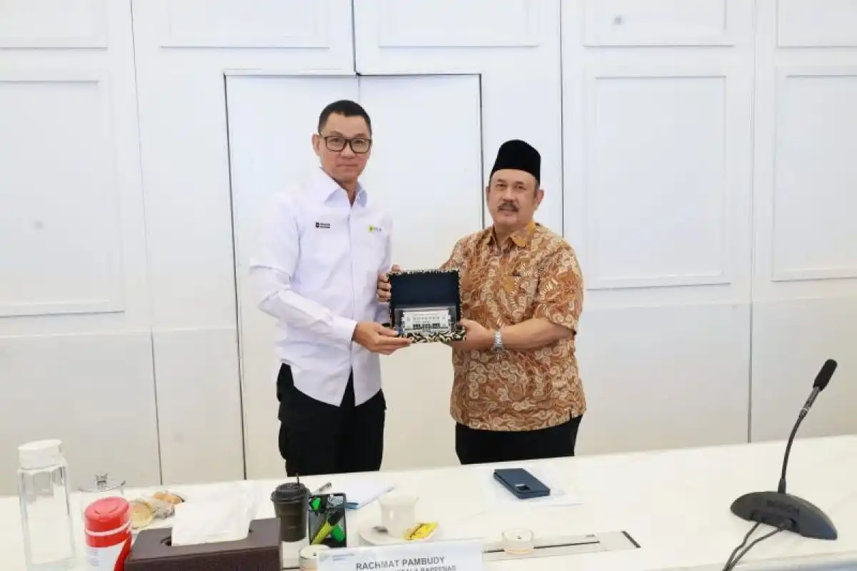 Bappenas dan PLN Siapkan Pengembangan PLTS 100 GWp dengan Sistem Penyimpanan Energi