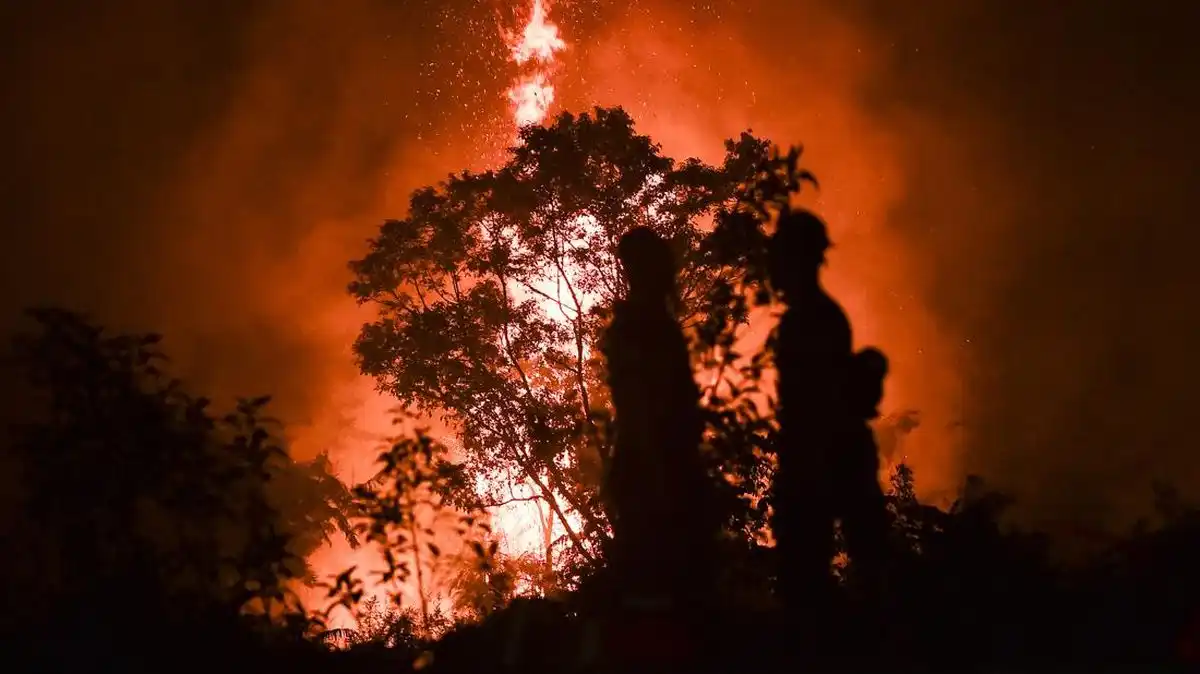 Kabut Asap Karhutla di Jambi Memburuk, Modifikasi Cuaca Dijadwalkan 9–10 Oktober