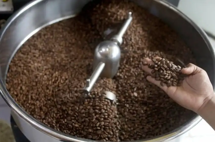 Konsumsi Kopi dan Kesehatan Liver: Dosen IPB Jelaskan Dampaknya