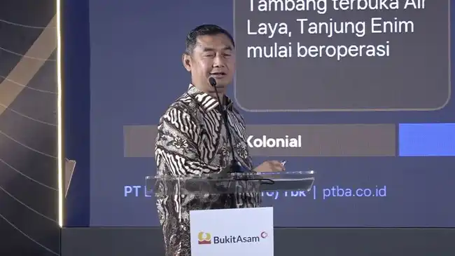 Lewat BLU, PTBA Berharap Pasokan Batu Bara Domestik Lebih Adil